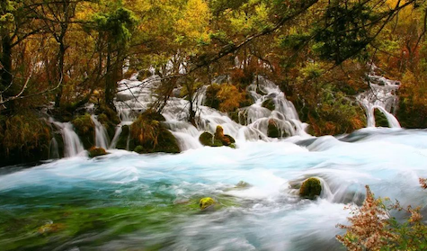 【创世记】10章查经释义  人类分布与迁移