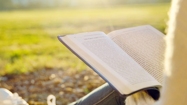 【圣徒生活】圣民之死