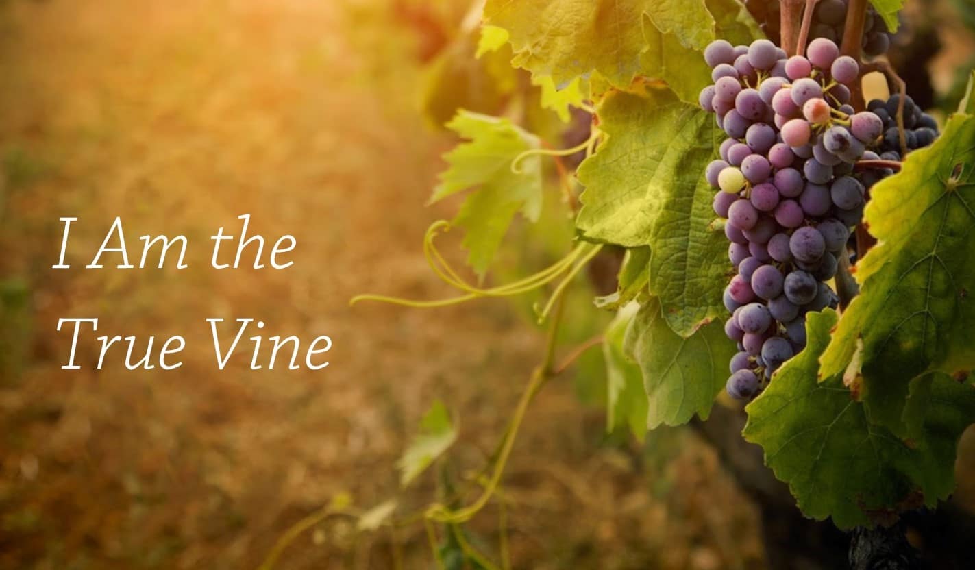 【启示录主题】启示录所记载的许多各样不同的神迹