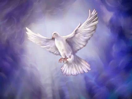 【证明真神】黄白黑种人的血液可以互相输血，证明全世界人类同一个祖先，同一个父亲