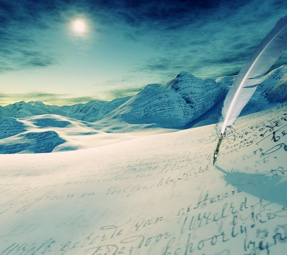 判断真假的标准