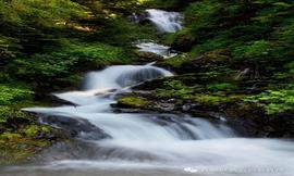 圣徒的忍耐就在此，他们是遵守神的诫命和耶稣真道的 （二、耶稣真道）