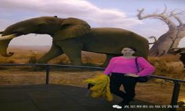 神指引人走正路——吴娇平姐妹的见证