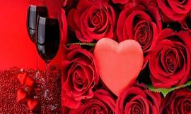 因你的爱情比酒更美