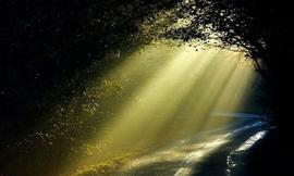 全新的人生-天主教徒归真