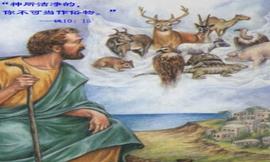 要把洁净的和不洁净的，可吃的与不可吃的活物，都分别出来。