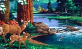 为什么受洗考核的做法不符合经训呢？