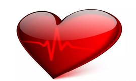 按照良心来审判