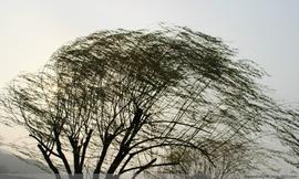 根据圣经真理，受圣灵的洗如风来了一样，是看得到，听得到的。