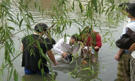 从偶像归向真神