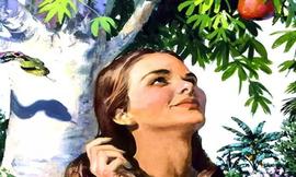 面对试探怎么办？