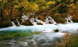 【神迹异像】洗礼现场看到主耶稣的宝血