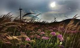 第一次到教会听道，祷告就受了圣灵