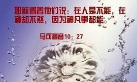 【信仰答疑】神迹奇事常见问题解答