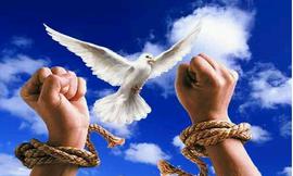 福音并非辖管别人的自由，乃是帮助别人的快乐