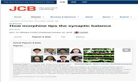 受洗归主，脱离魔鬼权势