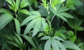 【医治疾病】癌前病变疼痛难忍，感谢神的保守看顾，让我免去一场大手术