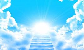 为什么洗脚礼可以洗去罪愆？